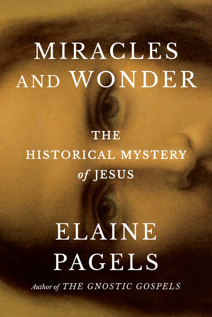 Miracles and Wonder: The Historical Mystery of Jesus Doubleday Books